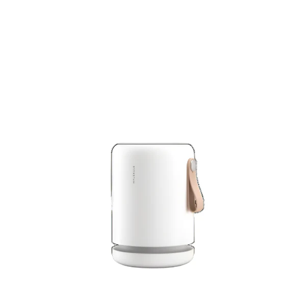 Air Mini+ Purifier