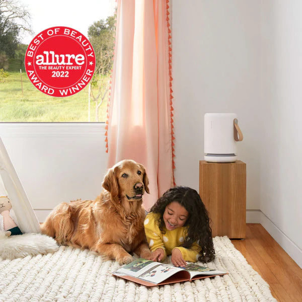 Air Mini+ Purifier - Image 2