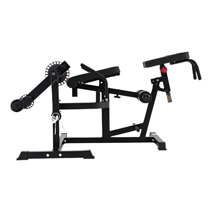 AL-3036 Leg Curl / Extension - Image 4