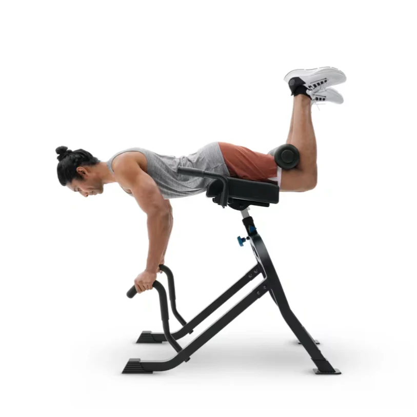 DEX II Commercial Inversion & Core Training System - Image 6