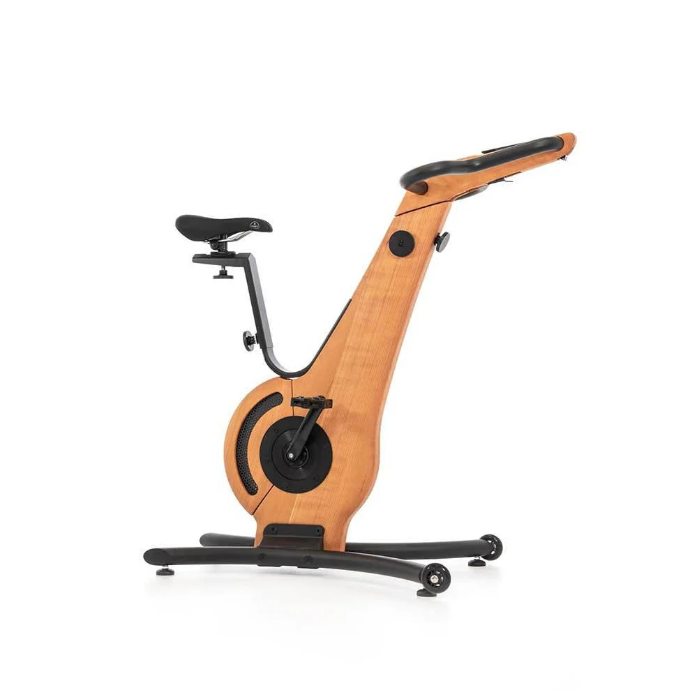 Bike Indoor Cycle - Image 4