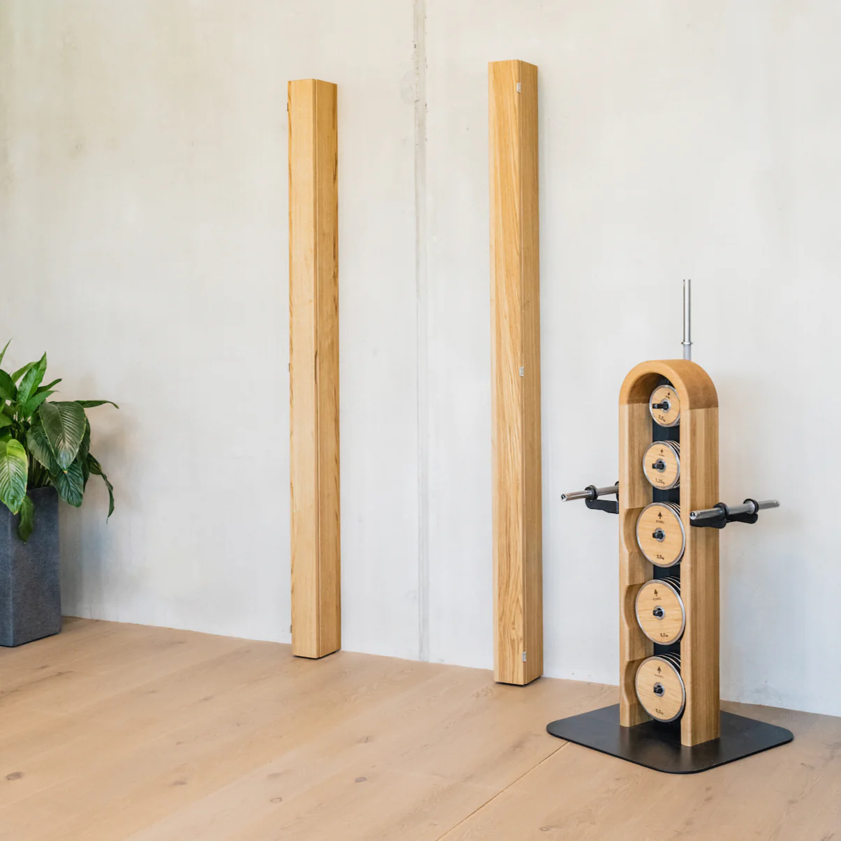 Folding SquatRack - Image 3