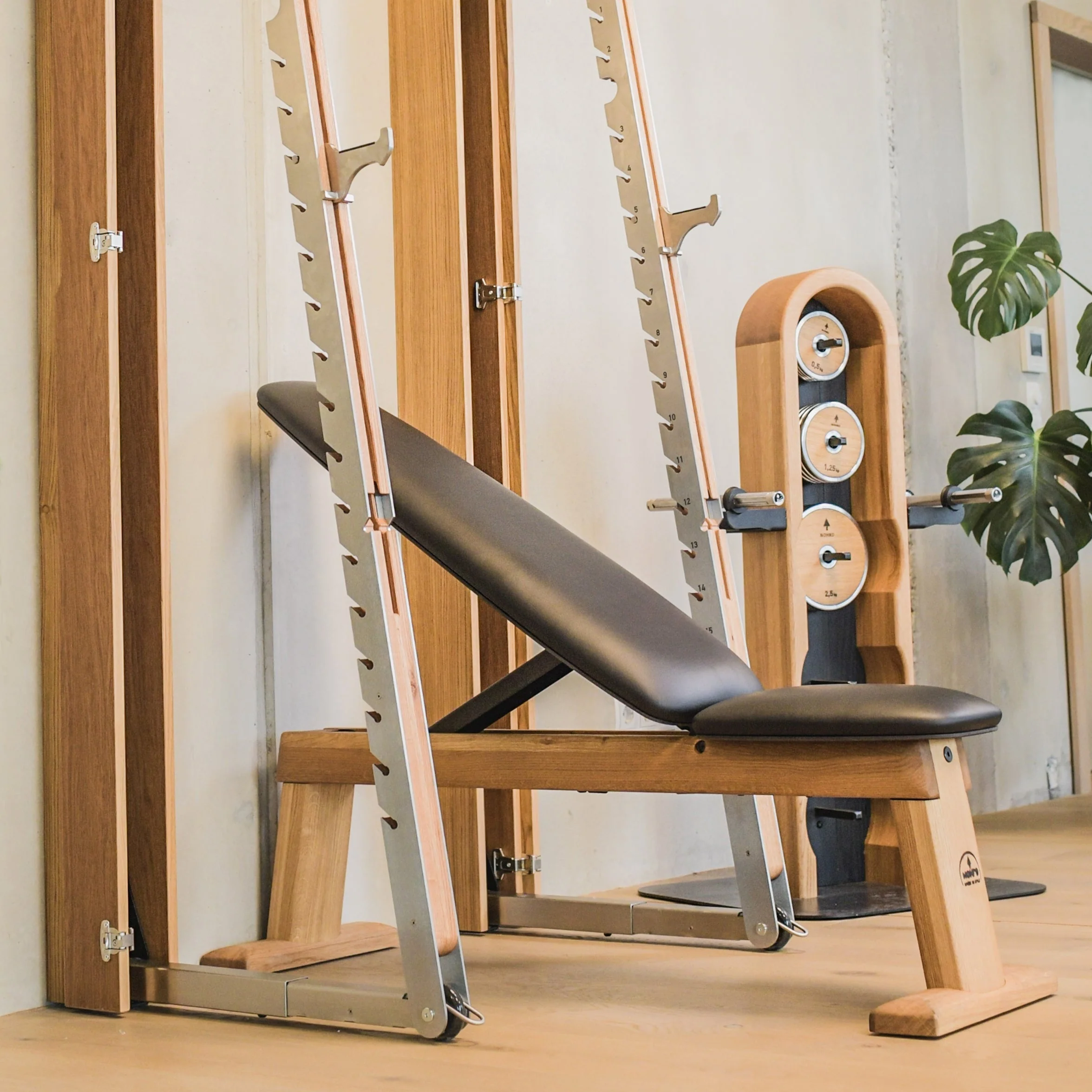 Folding SquatRack - Image 5